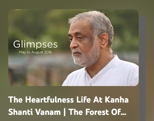 The Heartfulness Life At Kanha Shanti Vanam